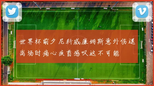 世界杯前夕尼科威廉姆斯意外伤退离场时痛心疾首感叹这不可能